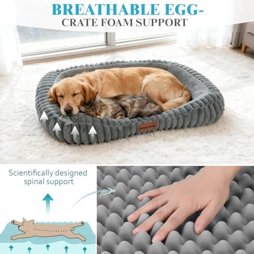 Orthopedic Dog Bed, Memory Foam Bolster Bed for Large Sized Dog