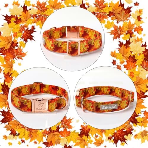 Fall Dog Collar for Puppy Small Dogs - Gold Maple Leaves Tanksgiving Puppy Collar, Adjustable Heavy Duty Fall Festivel Cotton Dog Collars with Metal Buckle XS