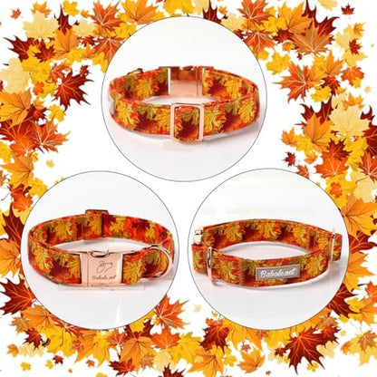 Fall Dog Collar for Puppy Small Dogs - Gold Maple Leaves Tanksgiving Puppy Collar, Adjustable Heavy Duty Fall Festivel Cotton Dog Collars with Metal Buckle XS