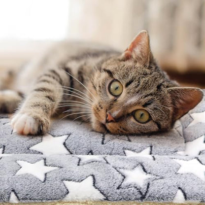 2 Pack Cat Blanket for Indoor Cats, Ultra Soft & Warm Calming Bed