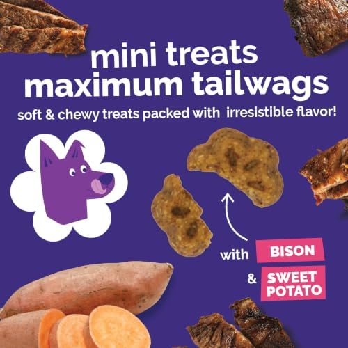 Fruitables Skinny Mini Dog Treats, Healthy Sweet Potato Treat for Dogs, Low Calorie & Delicious, Puppy Training, No Wheat, Corn or Soy, Made in the USA, Grilled Bison Flavor, 20oz