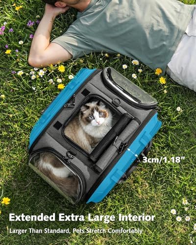 Pecute Cat Carrier,Double Bubble Pet Carrier for Cat Small Dogs,Gray,L