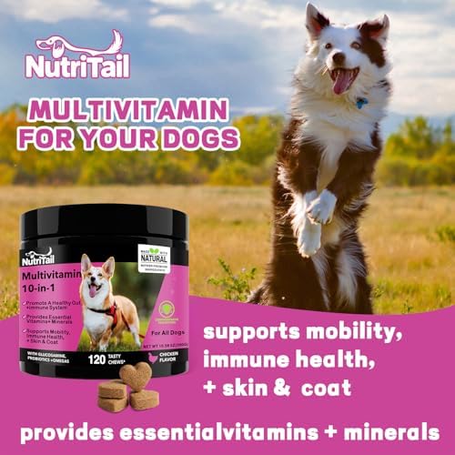 NutriTrail Multivitamin for Dogs – 10-in-1 Soft Chews with Glucosamine, Probiotics, Omega-3, Vitamins & Minerals – Supports Hip & Joint, Digestion, Skin & Coat, and Immune Health – Chicken, 120 Ct