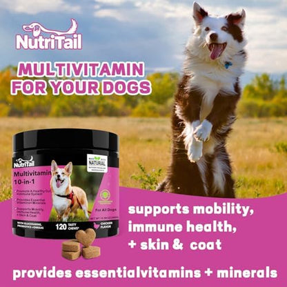 NutriTrail Multivitamin for Dogs – 10-in-1 Soft Chews with Glucosamine, Probiotics, Omega-3, Vitamins & Minerals – Supports Hip & Joint, Digestion, Skin & Coat, and Immune Health – Chicken, 120 Ct