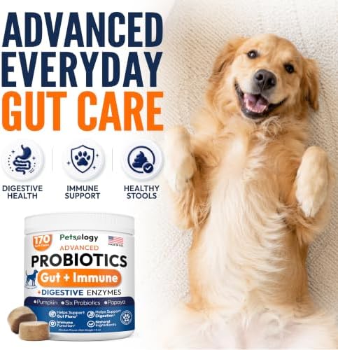 (2 Pack) Probiotics for Dogs - 340 Dog Probiotics Chews - Digestive Enzymes