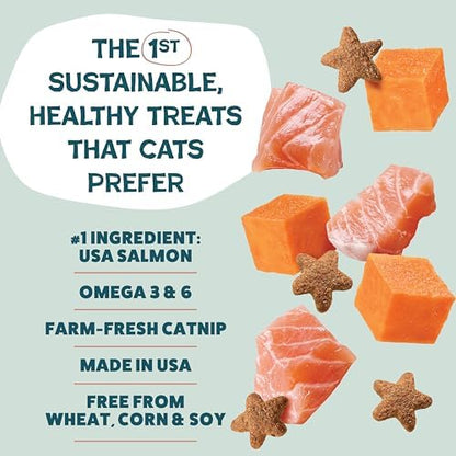 Shameless Pets Crunchy Cat-Treats - Kitty-Treats for Cats with Skin & Coat Support, Natural Ingredients KittenTreats with Real Salmon, Healthy Flavored Feline Snacks - Yam Good Salmon, (Pack of 2)