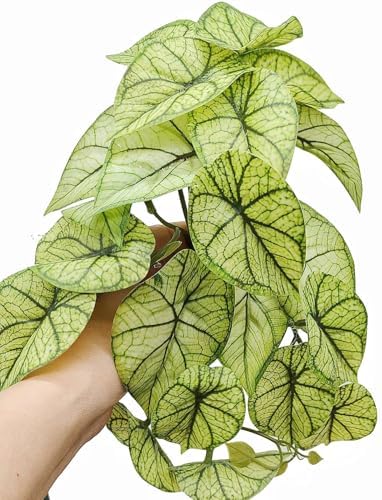 Reptile Plants for Terrarium,Habitat Decor, Hanging Plant with Suction Cup