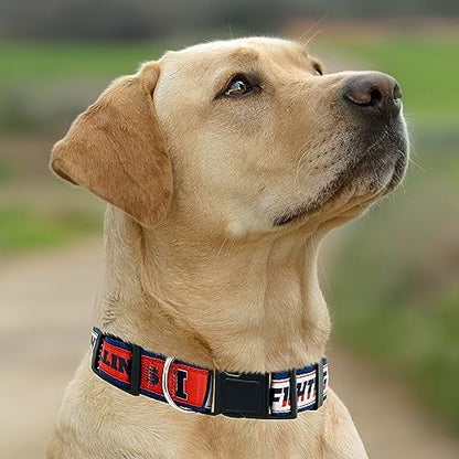 Pets First Collegiate PET Collar New Version Illinois Fighting Illini Dog Collar, Size Small. Best Sports Team Color for Dogs & Cats. A Shiny & Colorful Dog & Cat Collar Licensed by The NCAA