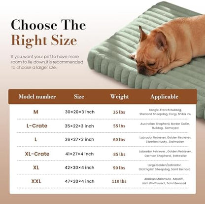 Medium Dog Bed Orthopedic Foam with Waterproof Lining