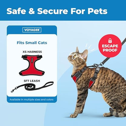 Voyager Escape-Proof Step-in Lock Cat Harness & 5ft Neoprene-Handle Leash Set All-Weather Mesh with Reflective Stitching for Small to Large Cats by Best Pet Supplies, Black Trim-Red (327), XS