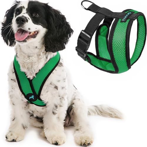 Gooby Comfort X Head-in Dog Harness, Choke-Free, Hunter Green, Small
