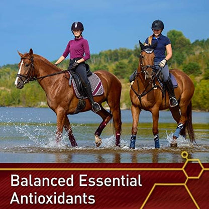 Vita Flex Pro E & Selenium Supplement for Horses, 320-Day Supply