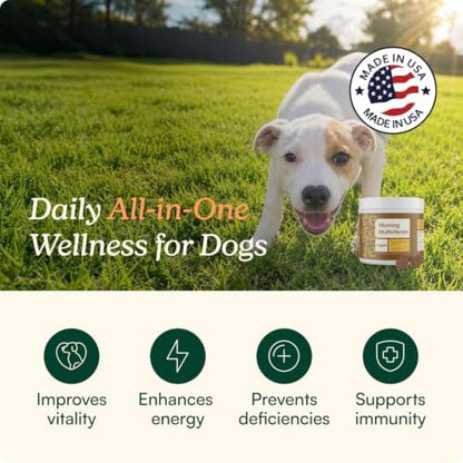 Reggie Morning Multivitamins for Dogs | Daily Dog Vitamin Chews with Vitamins & Minerals for Immunity, Heart, Skin, Coat, Joints & Digestion | Vet-Approved, Natural Dog Supplement | 60 Soft Chews