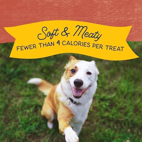 Natural Balance Rewards Minis, Training Treats for Dogs, Salmon, 5.3 oz