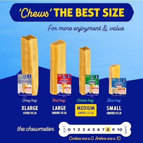 Himalayan Dog Chew, Bacon Yak Cheese, 1 Medium Yak Chew