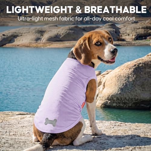 KYEESE 2Pack Dog Shirts for Small Dogs Breathable Mesh Tank Top
