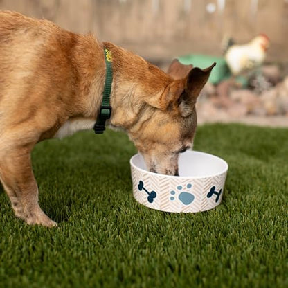 Loving Pets Dolce Moderno Dog Bowl – Modern Melamine Dog Food Bowl & Dog Water Bowl – Durable, Non-Slip Pet Dish for Small & Medium Dogs – Dishwasher Safe Dog Bowl (Small, 16 oz)