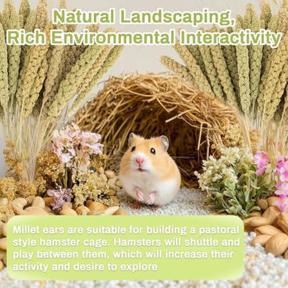 Sukh 30 Pcs Natural Millet Spray - 12.6in Hamster Cage Accessories Decor