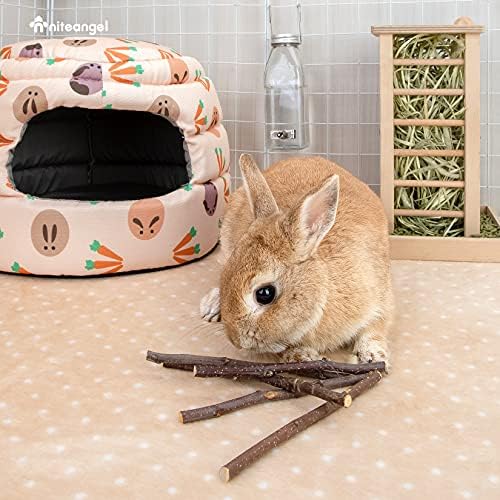 Niteangel Apple Sticks Chew Toys: Natural Herbal Flavor & No Additives