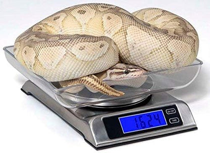 Vivarium Electronics DS-6000 Digital Reptile Scale 6kg/13lb
