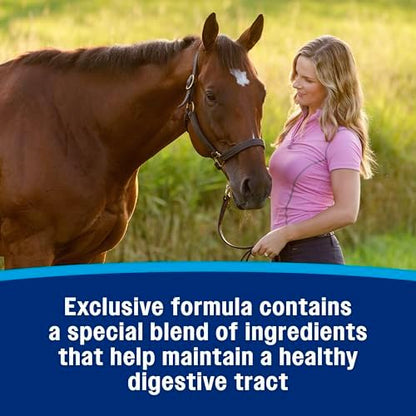 Farnam Hindgut Stabilizer Pellets, Daily Hindgut Support for Horses, 3.7 lb