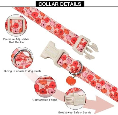 Lionet Paws Halloween Dog Collar- Cute Flower Pumpkin Peach Dog Collars with Plastic Buckle and Pumpkin Pendant,Light Adjustable Heliopsis Dog Collars for Medium Dogs