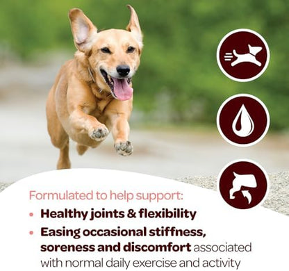 Hip and Joint Chews for Dogs | Dog Glucosamine Chews for Comfort & Mobility with Chondroitin MSM & Turmeric | Dog Joint Supplement for All Ages & Sizes | NASC Certified & Made in the USA | 60 Chews