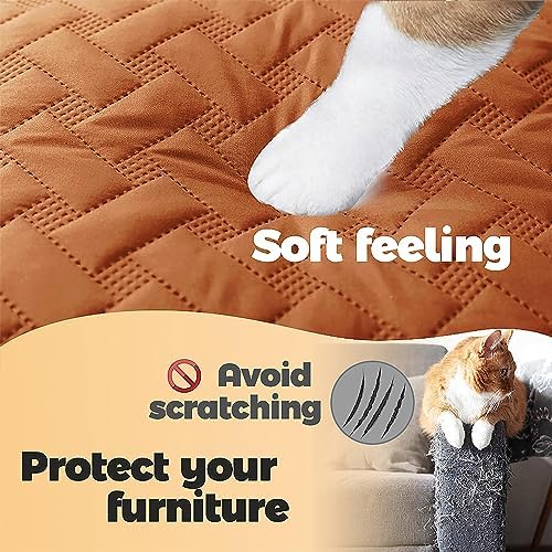 gogobunny 100% Double Sided Waterproof Dog Blanket Soft Pet Bed Cover Reversible Protect Furniture Couch Sofa Car for Puppy Cat Kids (Dark Pumpkin/Light Pumpkin, 82x102 Inch (Pack of 1))