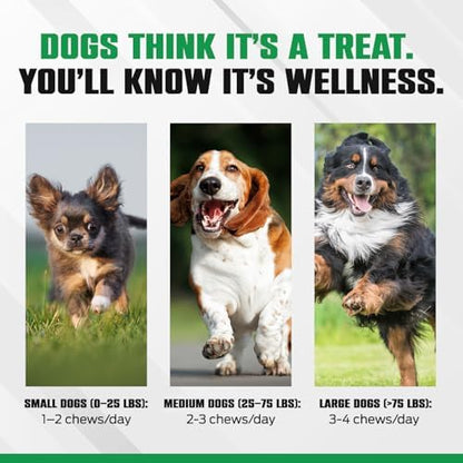 K10 Probiotic Chews for Dogs, Probiotic & Prebiotic Formula, 60 Count