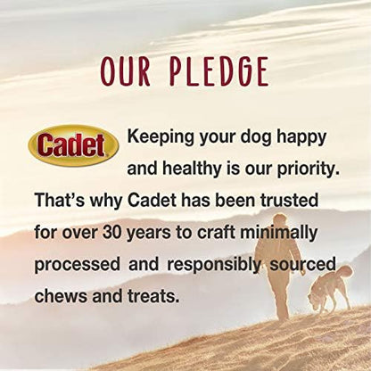 Cadet Gourmet Chicken & Apple Wrapped Biscuits Dog Treats, 14 oz