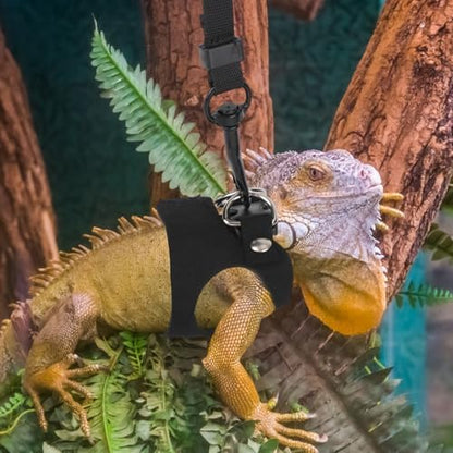 Bearded Dragon Leash and Harness Set