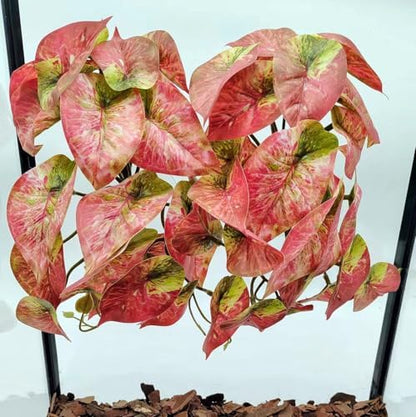 Fake Reptile Plants for Terrarium,Hanging Plant with Suction Cup