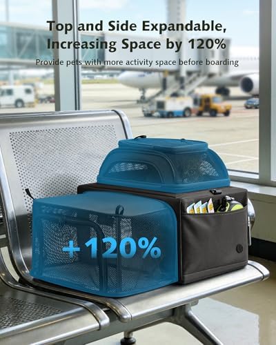Pecute Top Expandable Airline Approved Pet Carrier for Cats, Dark Gray