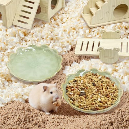 BNOSDM Shallow Ceramic Hamster Food Dish 2 Pcs Small Animals Food Bowl Sunflower Feeding Dishes for Gerbils Mice Rats 4.5in (Green)