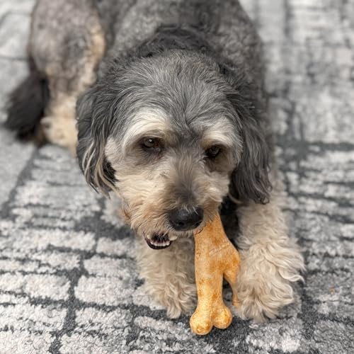 Fieldcrest Farms Nothin' to Hide Collagen-Based Dog Chews, Wishbone, Beef Flavor, Ultra-Premium, for Dogs Over 50lbs, Easily Digestible, Supports Skin, Coat, Joints & Muscles, 7-Inch, 2 Pieces