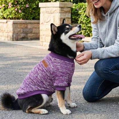 1 Pack Dog Sweaters for Small Dogs Girl Boy Winter Fleece Clothes Warm Soft Dog Sweatshirt Outfit for Dogs Cats Pet Apparel