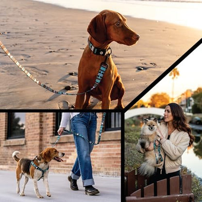 Wolfgang 1 Inch Venture Dog Leash Westernsky Print Large