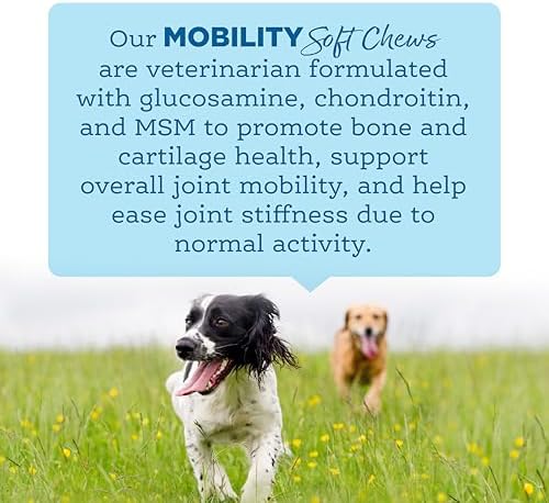NutriSource AmpliFull Turkey Flavor Mobility Soft Chews for Dogs, Daily Joint Health Supplement with Glucosamine & Chondroitin for Flexibility & Comfort, 70 Chews (1 Pack)