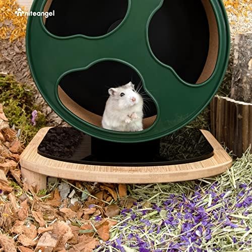 Niteangel Anti-Slide Hamster Wheel Platform: Small Size & Elevates Height
