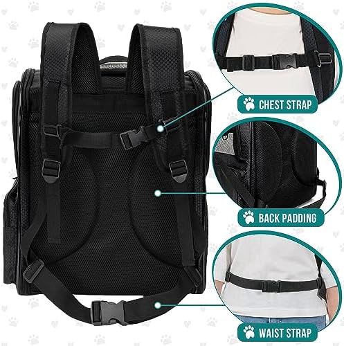 PetAmi Dog Backpack Carrier for Cats, 4-Way Entry Ventilated, 18 lbs, Black