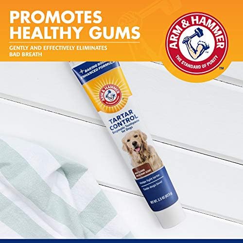 Arm & Hammer Tartar Control Enzymatic Dog Toothpaste, Beef Flavor, 2.5 Oz
