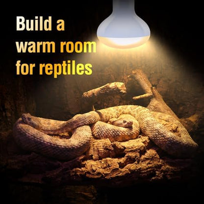 Leoterra 75W Reptile Heat Lamp Bulb, UVA Basking Spot Light for Bearded Dragon, Turtle, Lizard, Snake Terrarium, Daytime Heating Bulb for 20-40 Gallon Tanks, E26 Base, 2-Pack