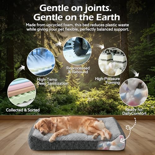 JOEJOY XL Orthopedic Dog Bed for Large Dogs - Extra Thick Foam Pet Bed Sofa