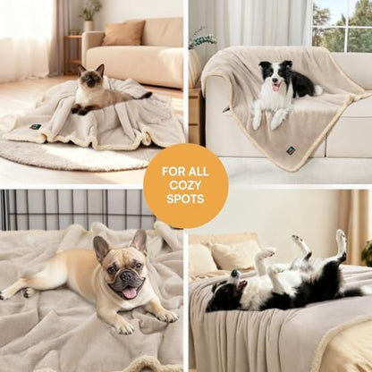 Luciphia Waterproof Pet Blanket, Liquid Pee Proof Dog Blanket for Sofa Bed Couch, Reversible Sherpa Fleece Furniture Protector Cover for Small Medium Large Dogs Cats, Grey Beige Large（65" x 57"）