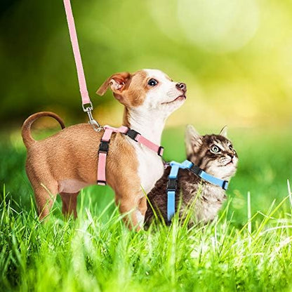 Outus 5 Pieces Adjustable Rabbit Harness and Leash Set, Fresh Color