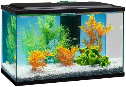 Tetra 5.5 Gallon Glass Aquarium, Rectangular Fish Tank