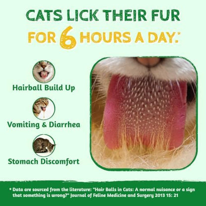 Just Try Cat Grass Treats for Indoor Cats Hairball Control 13.4 OZ