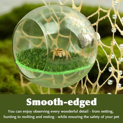 Jumping Spiders Hide Accessories, Glass Ball Hide Habitat Mushroom Platform, Small Spiders Enclosure Accessories with Artificial Grass and Nets for Climbing Resting