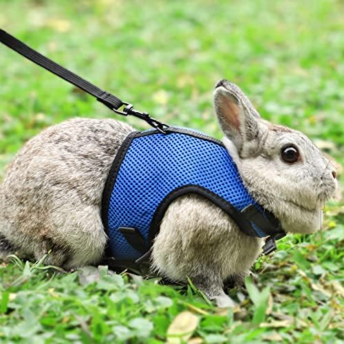 PETTOM Bunny Rabbit Harness with Stretchy Leash Cute Adjustable Buckle Breathable Mesh Vest for Kitten Small Pets Walking (Blue,XL)