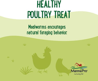 Manna Pro Farmhouse Favorites Mealworms Poultry Treat - Protein Treat for Poultry - Chickens, Turkeys, Ducks, Geese, and Guinea Fowl Treat - Contains 50% Protein - 100% Natural Poultry Snack - 2lbs